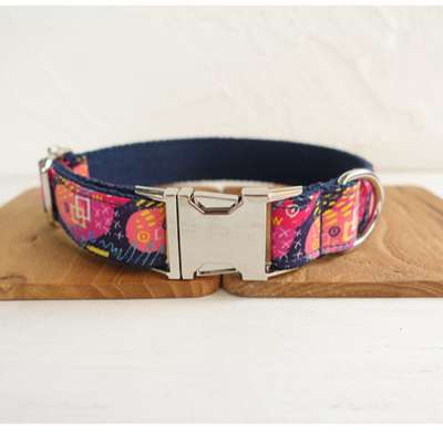 Colorful Fashion Designer Adjustable Dog Collar